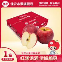 佳农云南红露丑苹果一级肉质鲜嫩清甜脆爽新鲜水果 果径80-85cm 12粒装 净重6斤