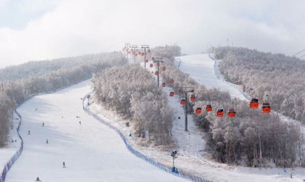 北京高铁1H直达，雪期长达半年！张家口崇礼太舞小镇源宿酒店 标准大床客房1晚套餐（含双早+双人1天滑雪套票+雪具柜+高铁站接驳）