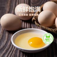 喵满分果园散养土鸡蛋土鸡蛋鲜鸡蛋茶鸡蛋现捡现发35g/枚