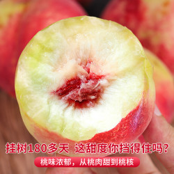 顾一 山东蒙阴金秋红蜜桃秋桃脆甜毛桃子当季新鲜水果现摘整箱