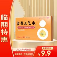 隆顺榕 藿香正气水10ml*6支