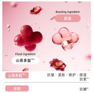 Mamonde 梦妆 山茶凝时多肽紧颜护肤套装 (水150ml+乳125ml+精华50ml)