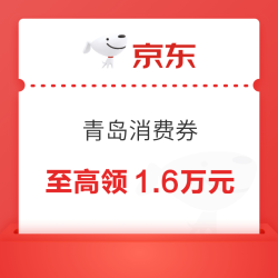 京东 青岛消费券 享20%补贴，至高领1.6万元
