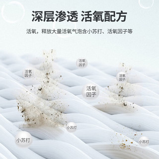 小林康夫漂白剂白色衣服白衣还原剂漂白粉爆炸盐洗白衣服去油污去黄 300g 1瓶 白衣还原剂