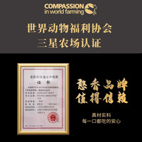 憨香 HANXIANG山西油炸肉圆肉丸子厂家自产自销瘦肉丸子260g*2火锅烧汤乱炖