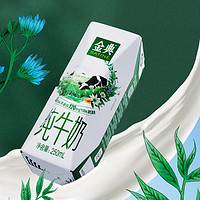 SATINE 金典 旗舰店纯牛奶250ml*16盒高钙营养儿童早餐中秋送礼