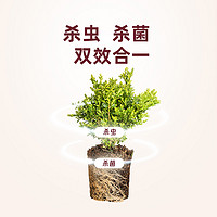 千百季 小黑小白组合 杀菌剂 120g