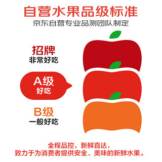 京鲜生 新疆法兰西西梅2斤 单果18-22g 生鲜新鲜水果礼盒 源头直发