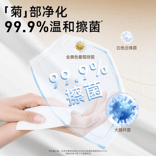 德佑 护理湿厕纸