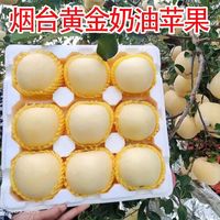 花音谷 山东奶油苹果 5斤礼盒装（12枚)