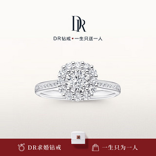 DRDarry Ring求婚钻戒女BELIEVE简奢爱的悸动订婚钻石戒指WJ0192 【共约34分】13分F色VS2