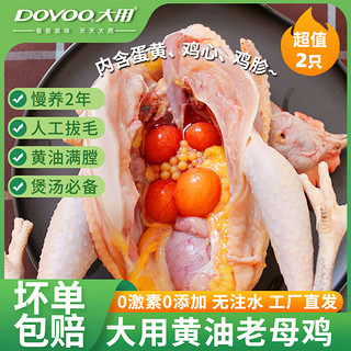 DOYOO 大用 老母鸡农家散养土鸡走地鸡1kg*2/养足500天左右