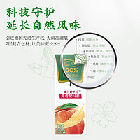 汇源 百分百桃混合果汁200ml*12盒