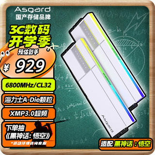 阿斯加特（Asgard）32GB(16Gx2)套 DDR5 6800 台式机内存条 RGB灯条-女武神·瓦尔基里Ⅱ代【C32】极地白