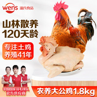 温氏 供港农养大公鸡1.8kg 冷冻高品质林地大公鸡走地鸡 鸡肉