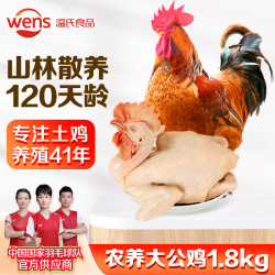 温氏 供港农养大公鸡1.8kg 冷冻高品质林地大公鸡走地鸡 鸡肉
