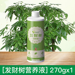 ZHIMEISHI 植美施 发财树专用植物营养液叶子发黄掉叶盆栽室内专用肥家庭养花肥料