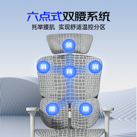 Ergoup/有谱 慧眼X1  人体工学椅电脑椅子舒服久坐办公座椅电竞椅