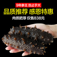 6-7年大连深海野生淡干海参海参干货250g深海辽刺参海礼盒