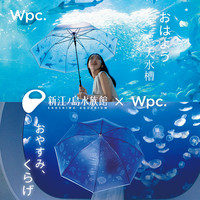 Wpc.水族馆联名透明雨伞坚固抗风轻量高颜值小巧便携折叠水母伞女