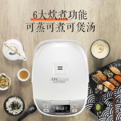Panasonic 松下 DC156-N  多功能电饭锅 4.2L