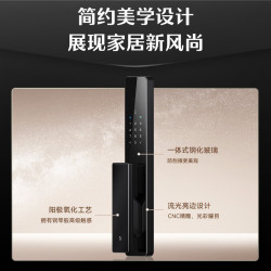DESMAN 德施曼 智能门锁密码锁入户门 电子锁家用防盗指纹锁 小嘀 Q2P星爵黑