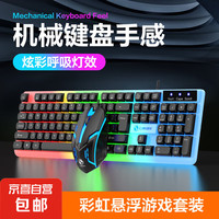 Dxwriter 大象键盘 电竞键鼠套装 有线背光机械手感键盘 104键全尺寸游戏电竞笔记本电脑多媒体办公吃鸡全键无冲键盘