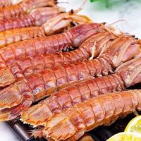 世鲜农皮皮虾鲜活冷冻海捕红壳皮皮虾海虾爬子即食海鲜水产22只/9-11cm 0.5kg *1盒熟冻皮皮虾中公