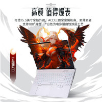机械革命 翼龙15 Pro 15.3英寸游戏本(R7-8845H、RTX 4070 8G、32GB、1TB)