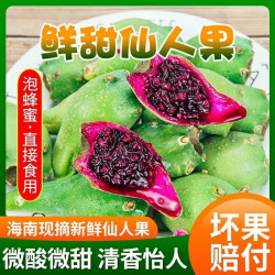 果迎鲜 仙人掌果 新鲜水果 海南热带水果 3斤装
