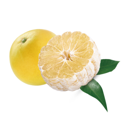 都乐 黄金爆汁葡萄柚1KG 2-4粒