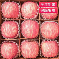 曲迪 烟台红富士一级苹果 果径75-80mm 9斤装