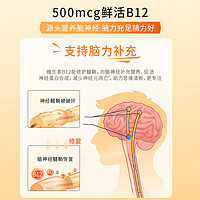 Eunova Stada史达德维生素维b12甲钴胺营养神经能量瓶vb族b1b2b6