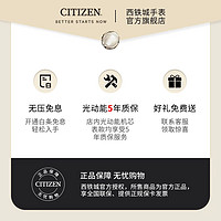 西铁城（CITIZEN） 手表The CITIZEN自然系列Spring Air光动能鳄鱼皮表带男表 AQ4100-65L