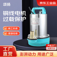 颂扬 48/60V-1 寸直流潜水泵铜制电机 15米铝线