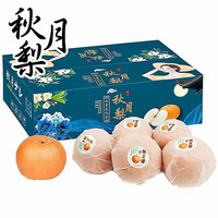 鲜安漫 山东秋月梨 彩箱 净重4.5斤5-8个