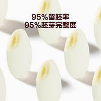 88VIP：窝小芽 有机胚芽米 500g