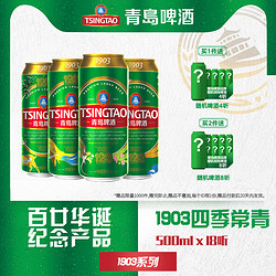 TSINGTAO 青岛啤酒 窖藏型1903系列四季常青500ml*18听