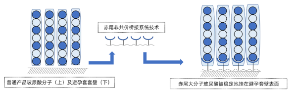 瞬滑起步,随时随意——赤尾面具套24年金秋上新