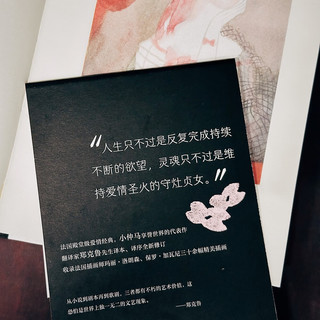 茶花女（插图珍藏版）