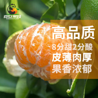 京鲜生四川青皮蜜橘 净重4.5斤 单果50-60mm 酸甜多汁 源头直发