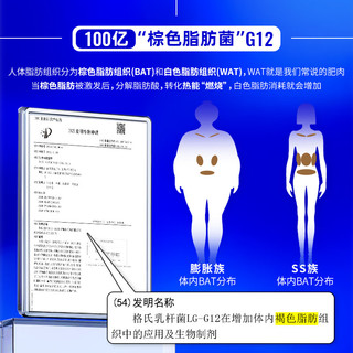 均瑶体轻松 益生菌 成人非调理肠胃肠道便秘 益生元 J26瘦子菌冻干粉 身材管理活性益生菌 【一盒14袋】 7天