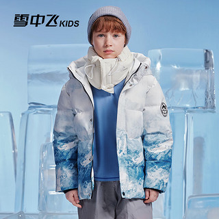 雪中飞童装2024加厚儿童羽绒服男童冬季印花外套女童羽绒服保暖外套 蓝白相拼 110cm