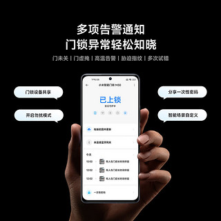 小米智能门锁M30人脸识别版 密码锁 智能锁入户门 AI双摄可视 指纹锁 小米智能门锁M30 人脸识别版