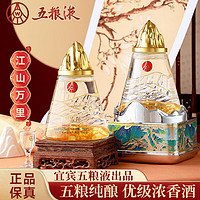 移动端、京东百亿补贴：WULIANGYE 五粮液 52度 浓香型白酒 500ml*2瓶 礼盒装