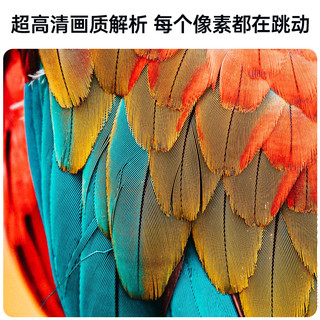 先科B5C5投影仪家用超高清白天直投智能便携卧室家庭影院手机投屏宿舍客厅可连电脑投屏电视机一体小型投影机
