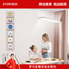 家装主材 storybox大路灯护眼学习灯全光谱立式落地儿童防近视阅读教室灯钢琴灯 中路灯+视力表+增视表+训练图