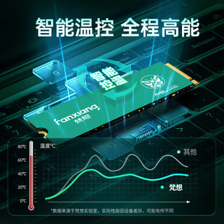 FANXIANG 梵想 P761 NVMe M.2 固态硬盘 1TB（PCI-E4.0）