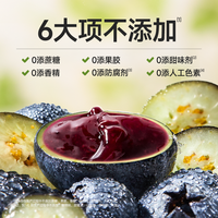 不二宝贝儿童蓝莓酱果酱涂抹面包吐司早餐无添加小包装零食