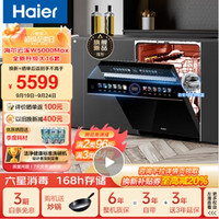 Haier 海尔 EYBW163266GHU1 16套嵌入洗碗机 W5000Max